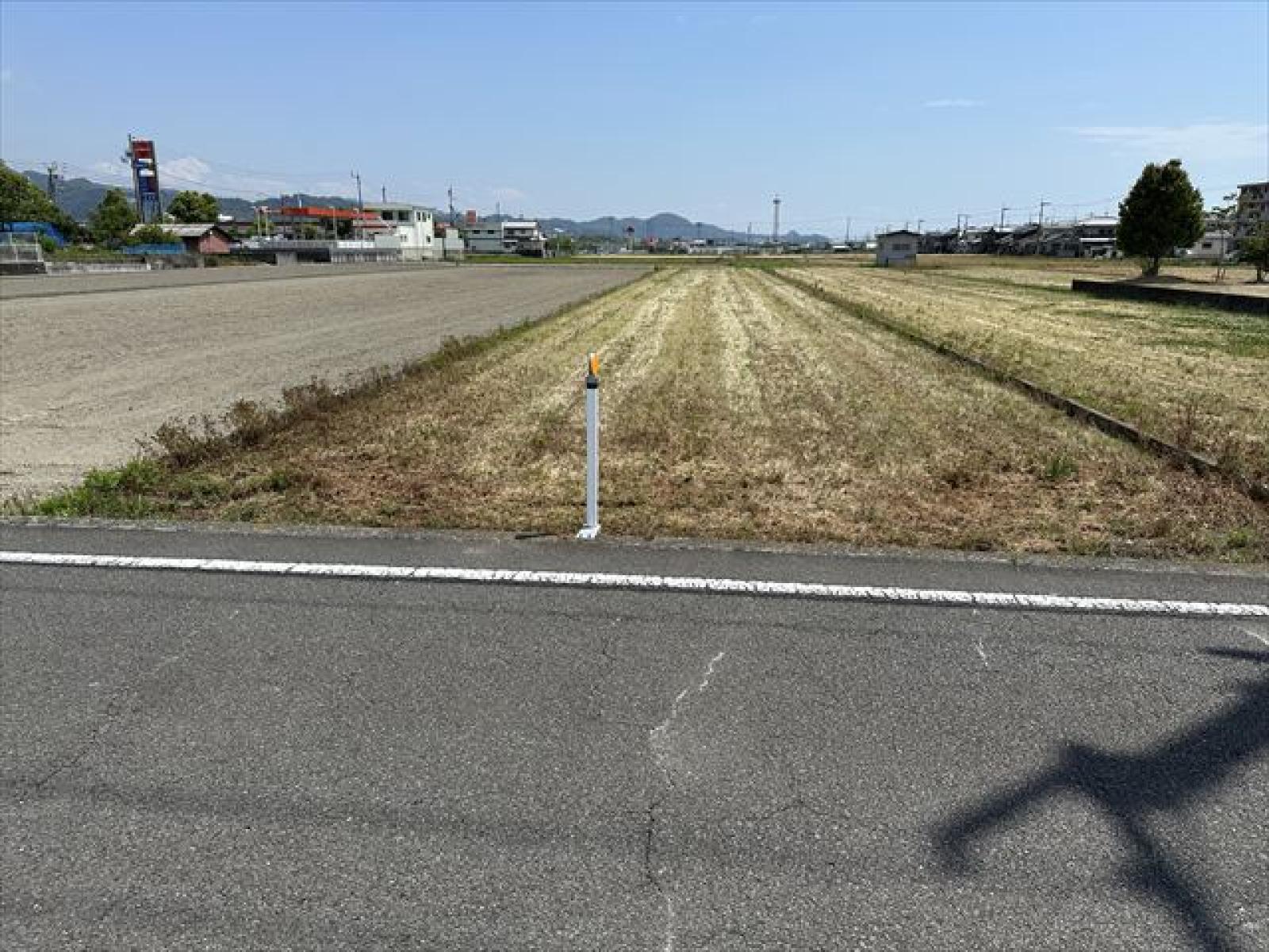 北道路より撮影