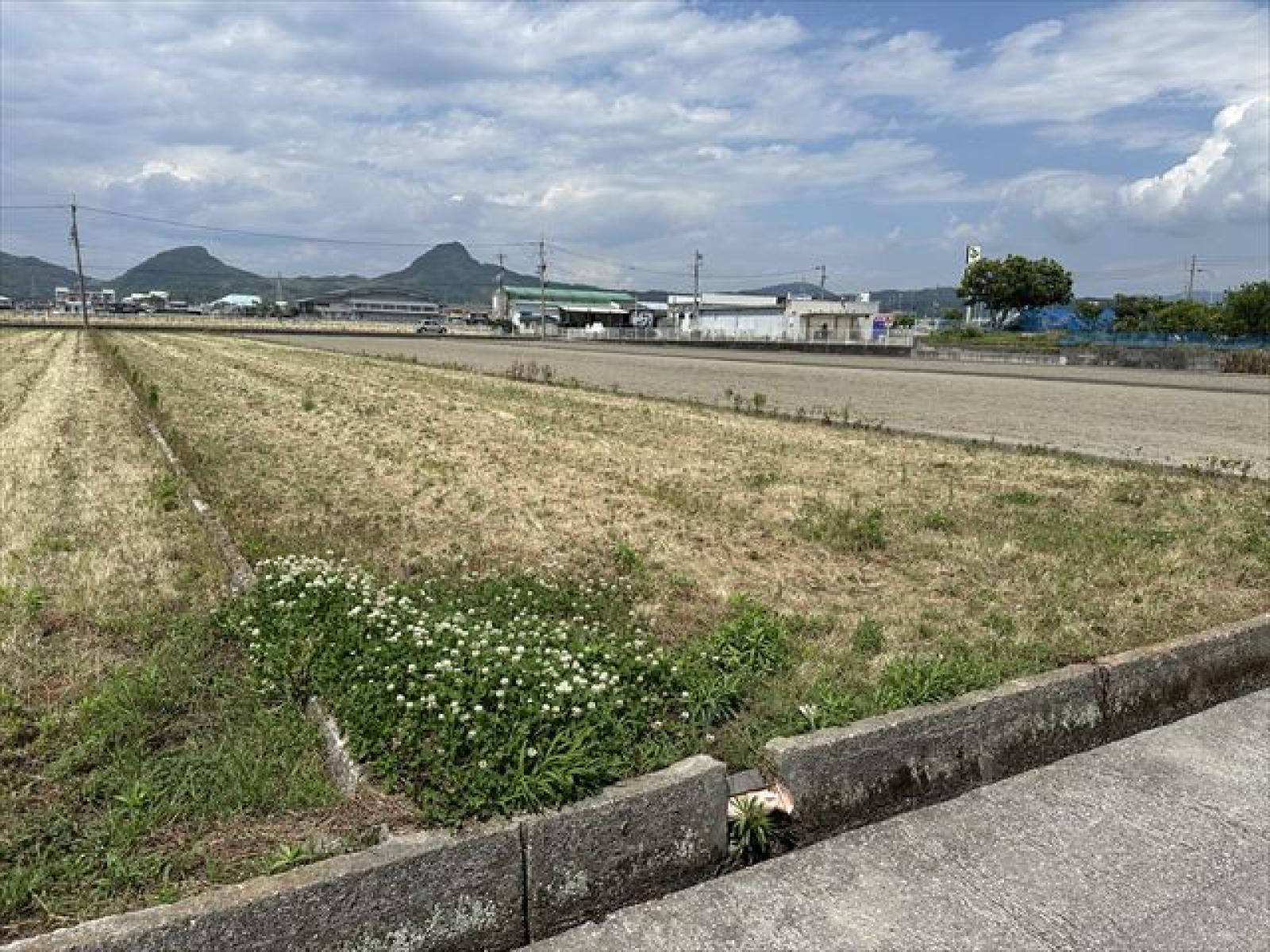 南側より撮影
