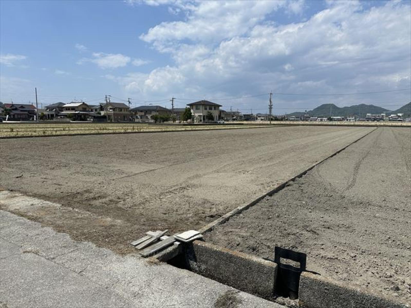 南側より撮影