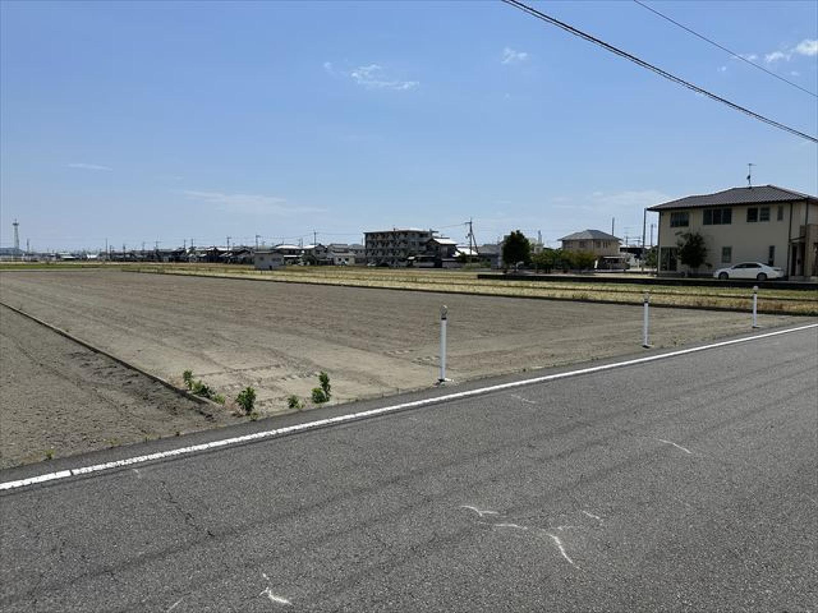 北道路より撮影