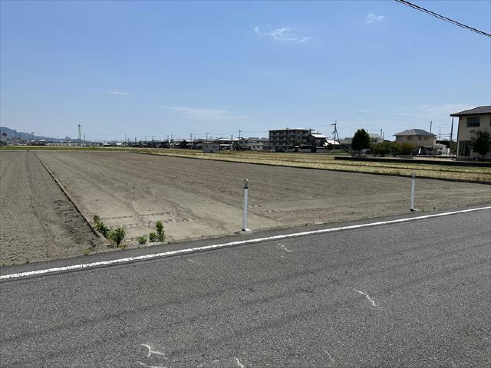 北道路より撮影