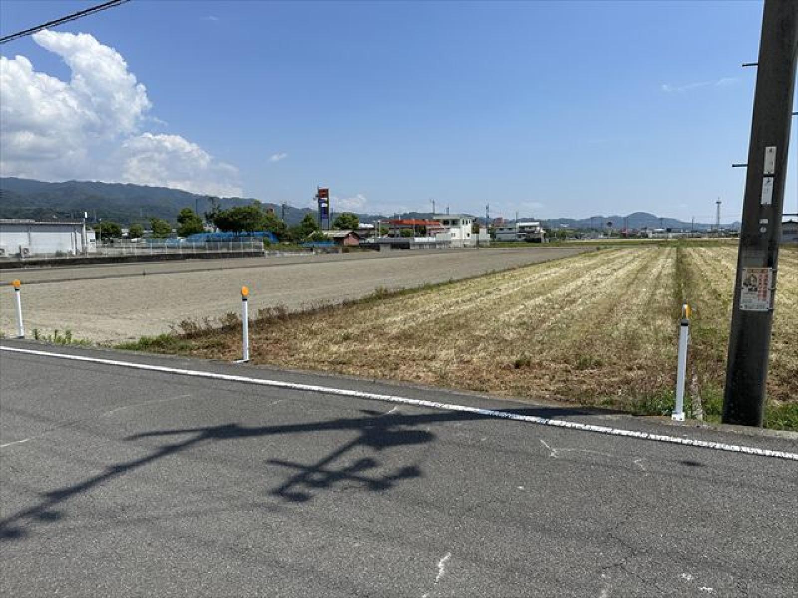 北道路より撮影